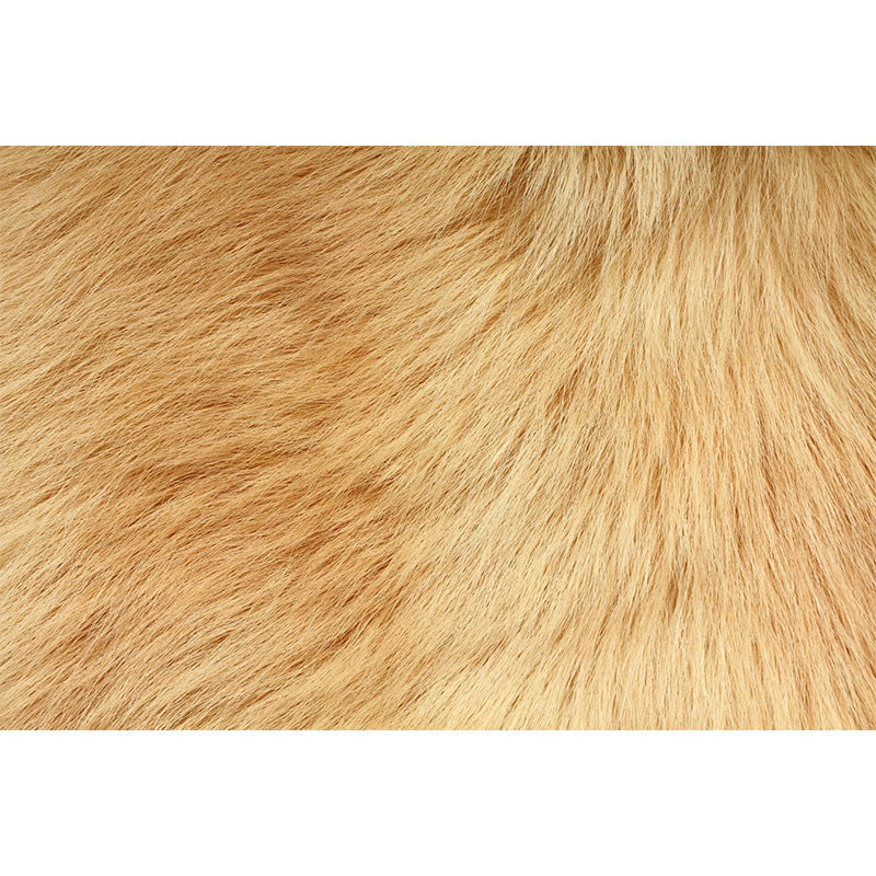 Brehn | Fotografische Dierenhaarpelprint Muur Full Size Wanddecoratie für Jungenzimmer, Maßgeschneidert