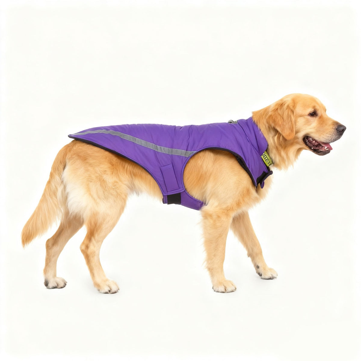 Baumwoll-Winterjacke für Hunde, alle Größen