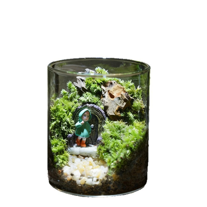 Miniatur-Garten im Glas, handgefertigt