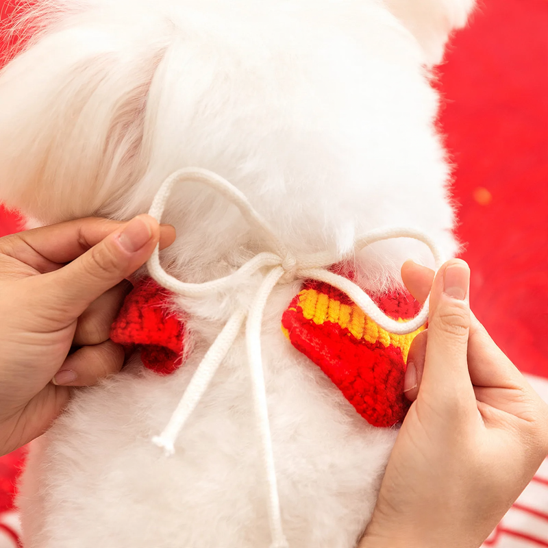 Festliches Halsband für Hunde und Katzen, Polyester