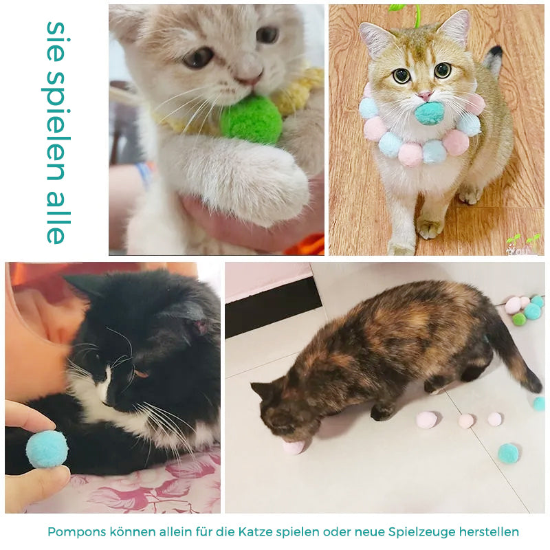 Interaktives Spielzeug für Katzen(30 Stücke) | Brehn