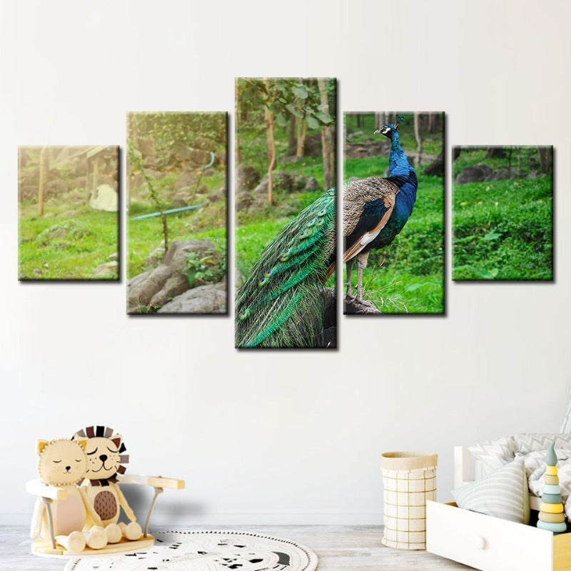 5-teiliges Würdevoller Sonnenbeschienener Pfau - Leinwand Wandkunst Gemälde