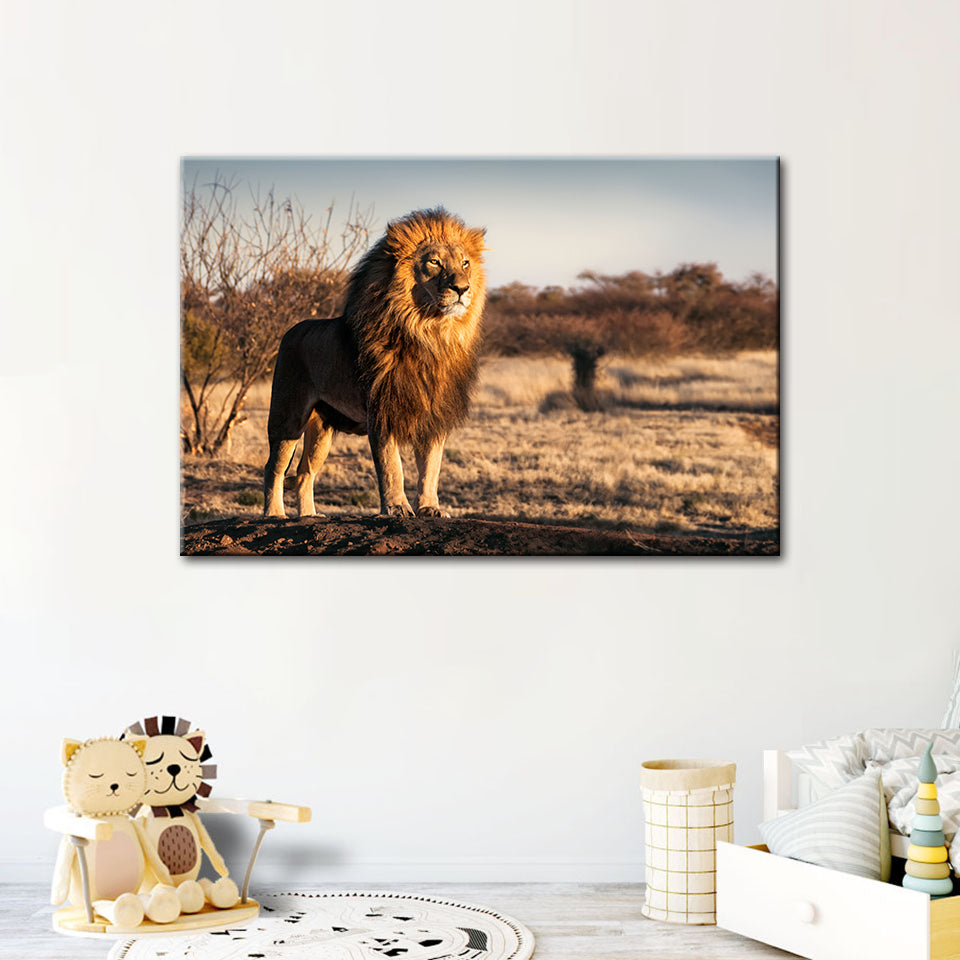Majestischer Löwe, von Sonnenlicht durchflutet - Leinwand Wandkunst Gemälde