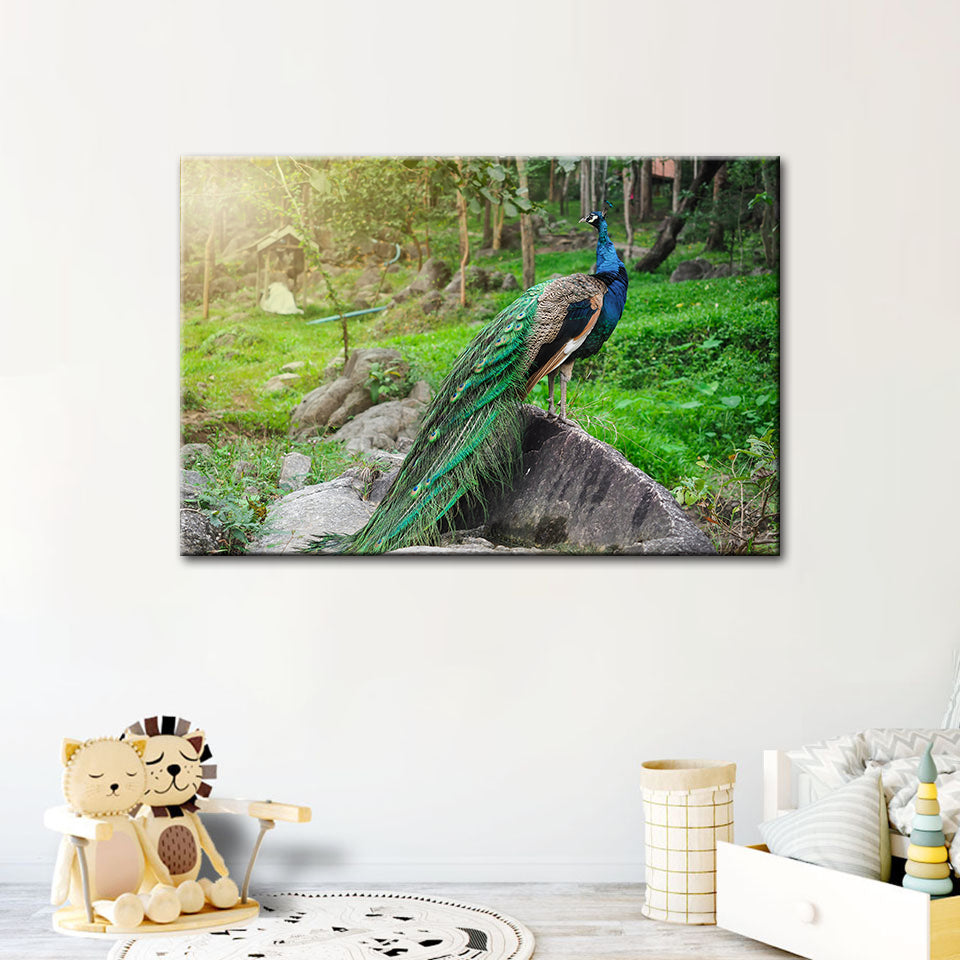 Würdevolle Sonnenlicht-Pfau - Leinwand Wandkunst Gemälde