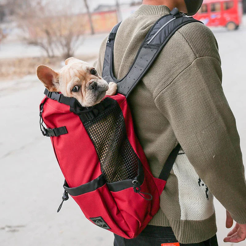 Hunde-Rucksack – Bequeme Tragetasche für mittelgroße Hunde mit Sicherheitsgurt und Aufbewahrungstaschen