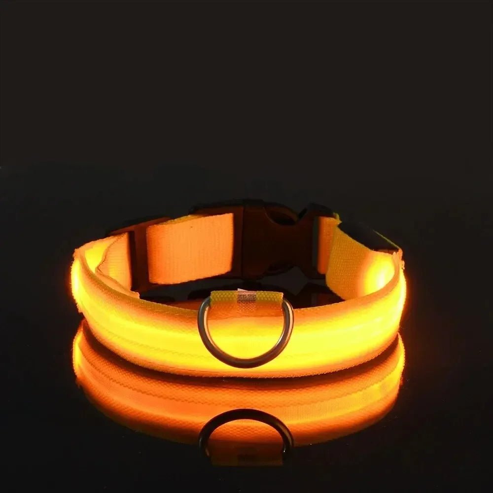 LED-Sicherheitshalsband für Hunde mit verstellbarer Passform