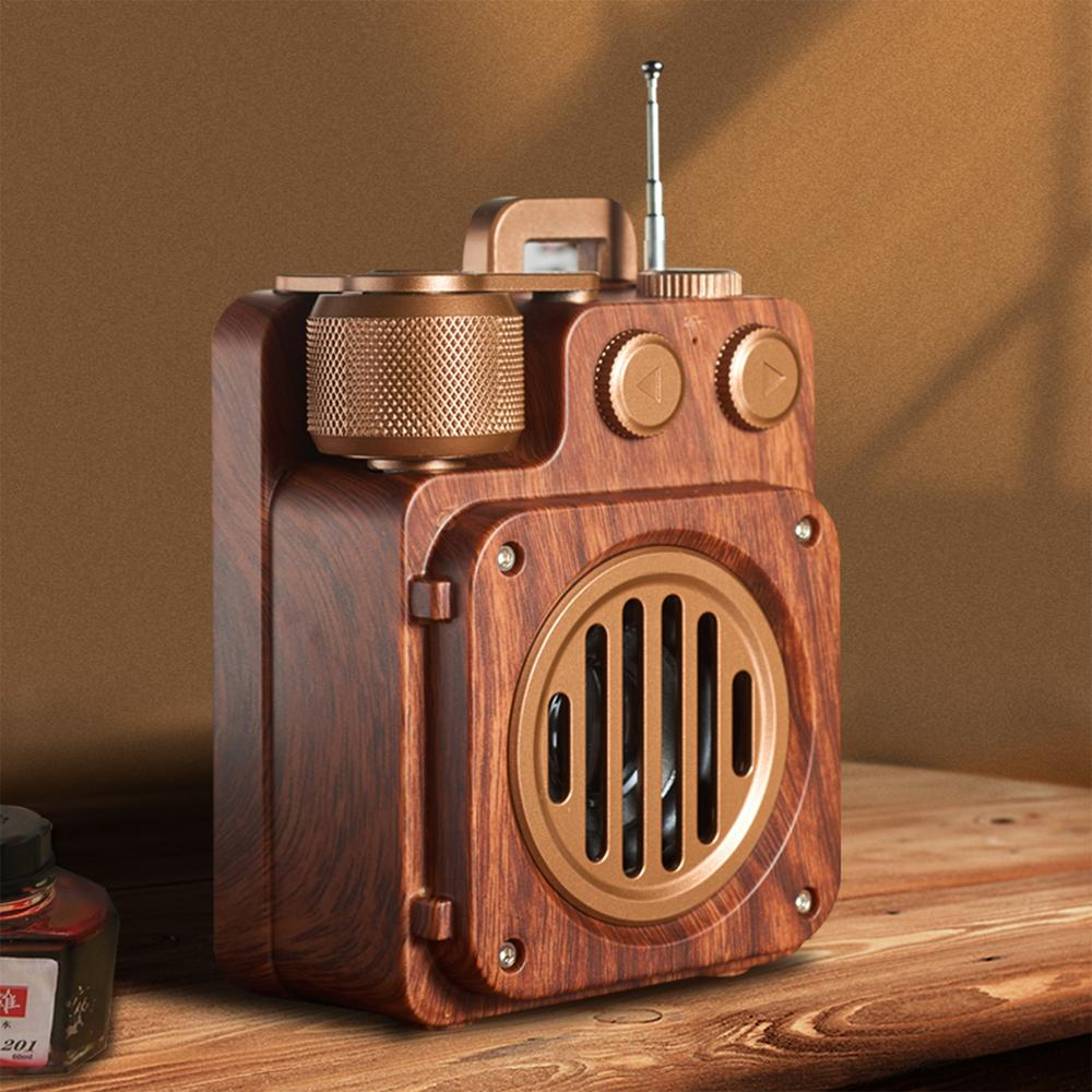 Brehn | Bluetooth Retro Lautsprecher mit tiefem Bass – Dunkle Akademiker Ästhetik