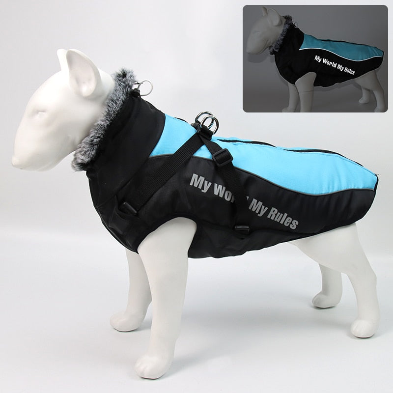 Brehn | Wasserdichte Winterhundejacken