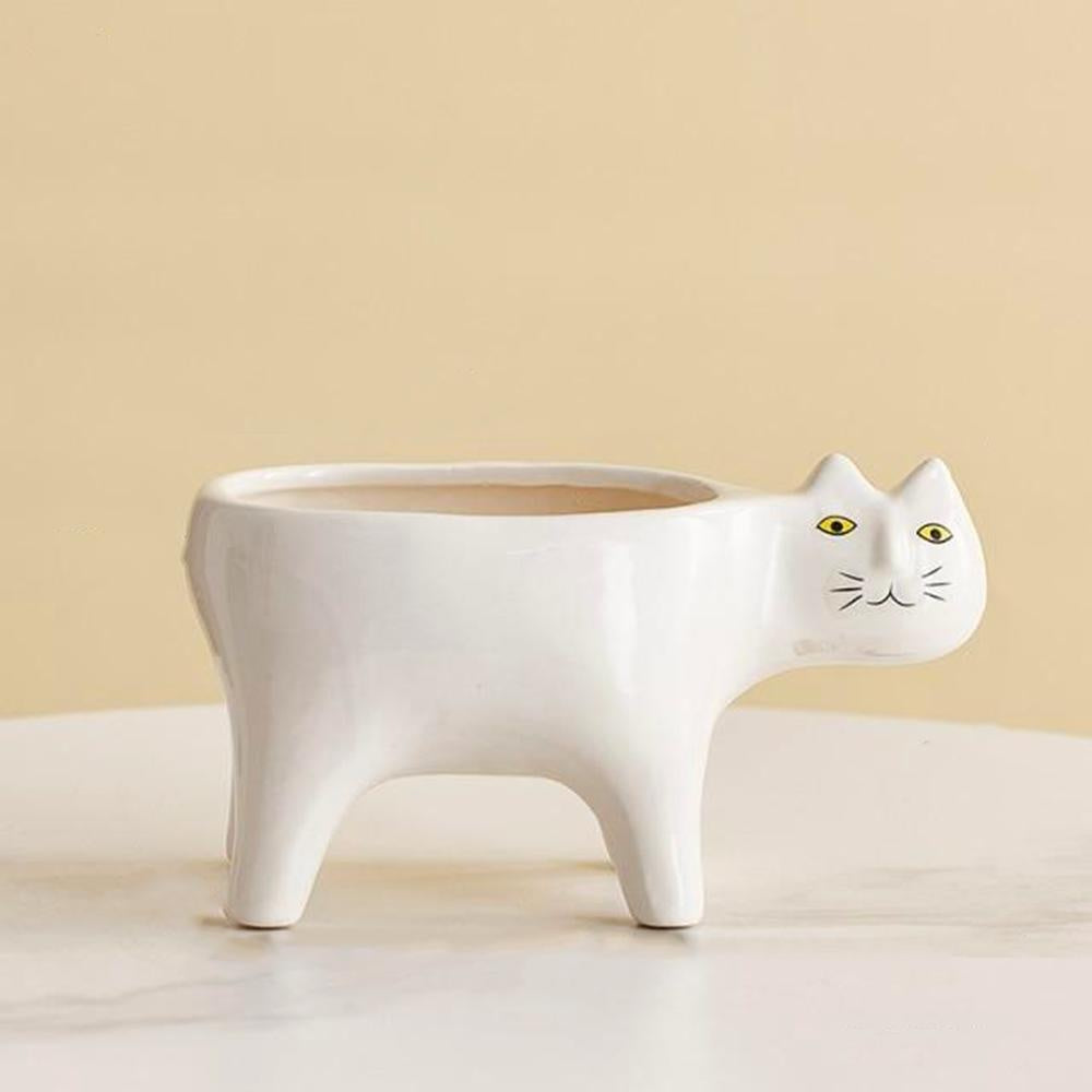 Kat Pot | Brehn