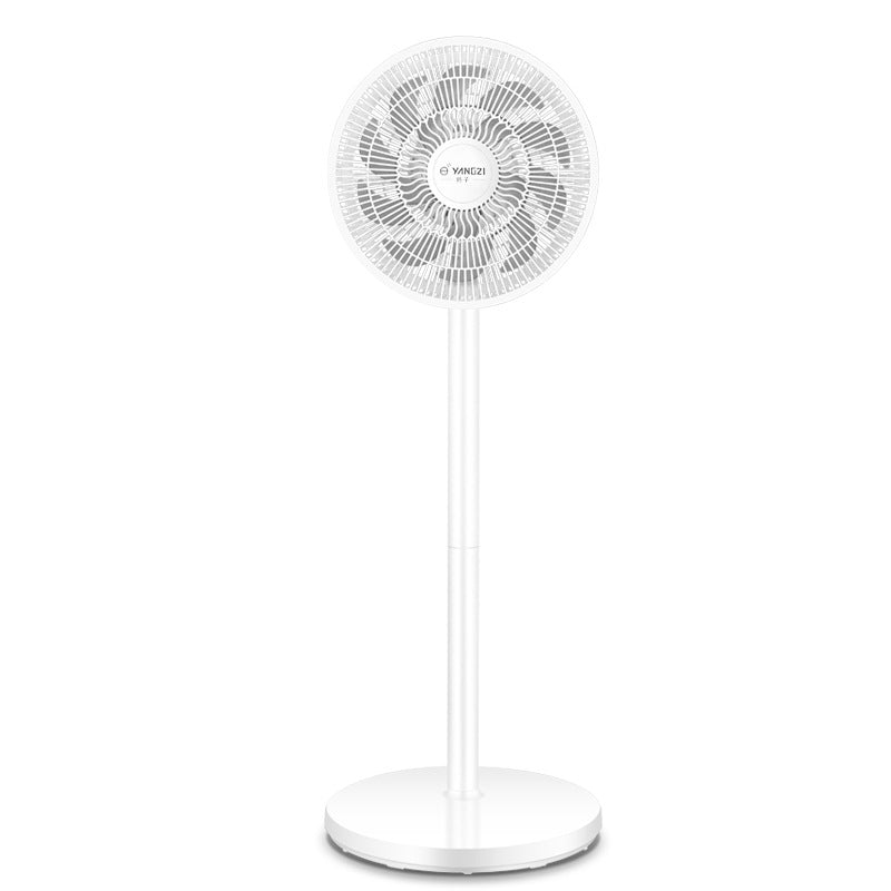 Damen Standventilator Brehn