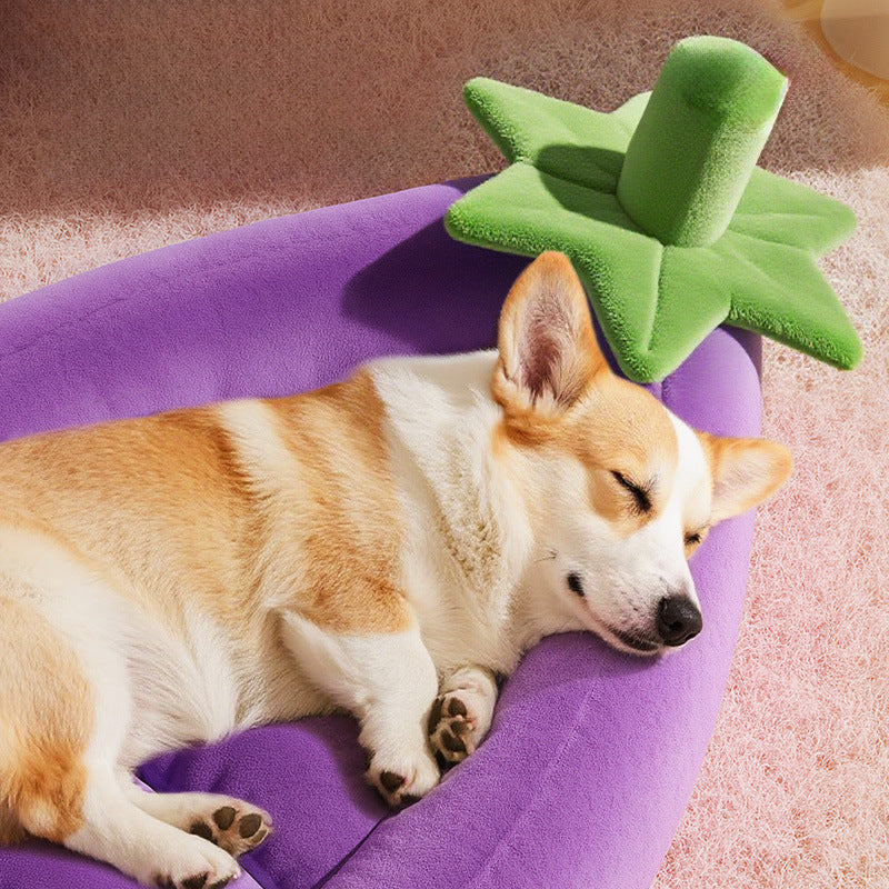 Spaßformiges Hundebett