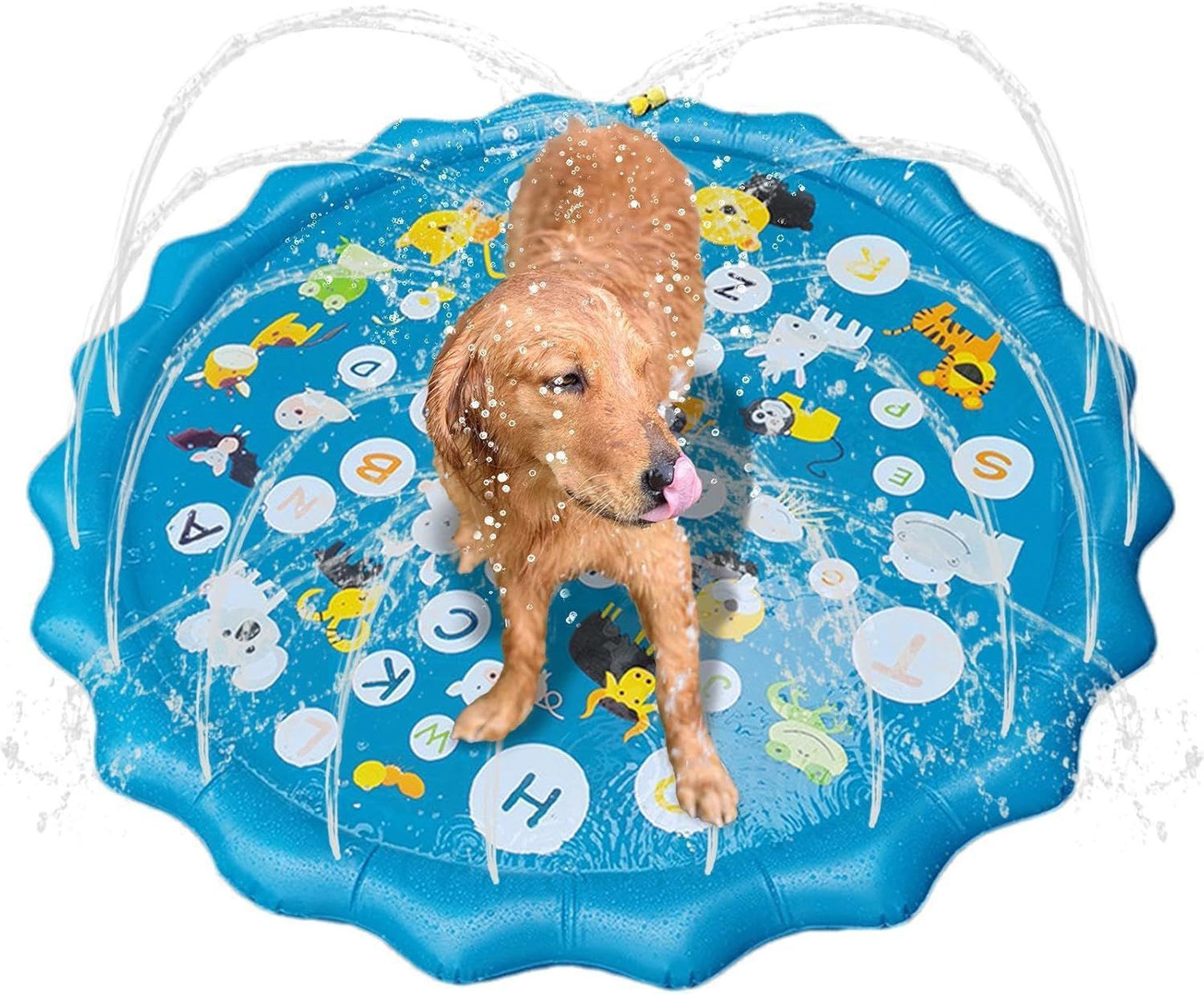 Wasserfunktionsspielzeug Brehn