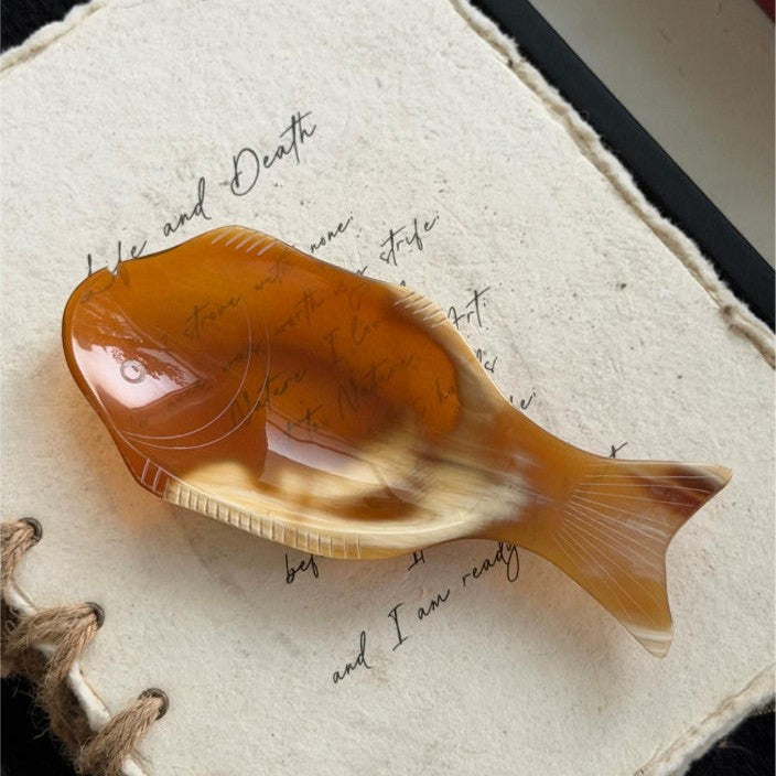 Dekorative Fische