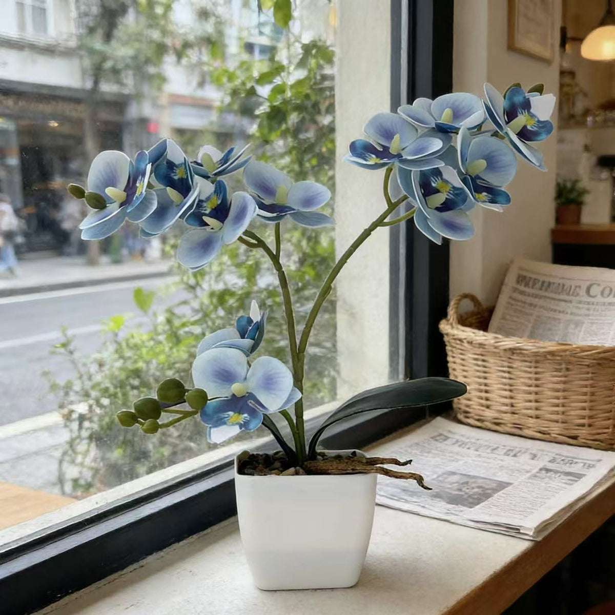 Lebensechte Orchideenpflanzenanordnung für die Heimpräsentation