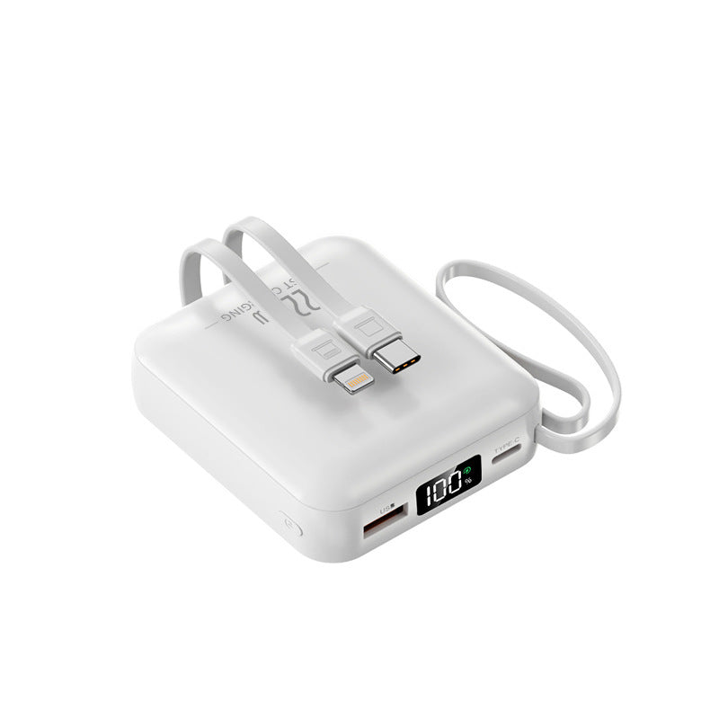 Tragbare Powerbank mit Dual-Usb-C Anschluss und Digitaler Ladestandsanzeige Brehn