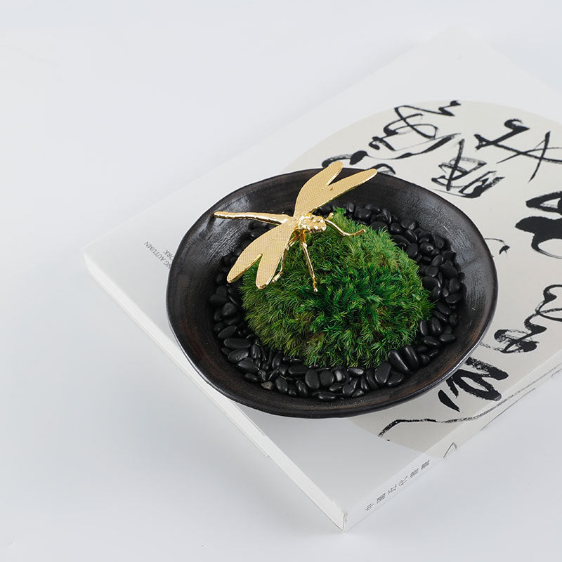 Dekorative Botanische Anzeige