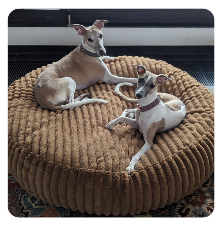 Runderplüsch Lounge Hundebett