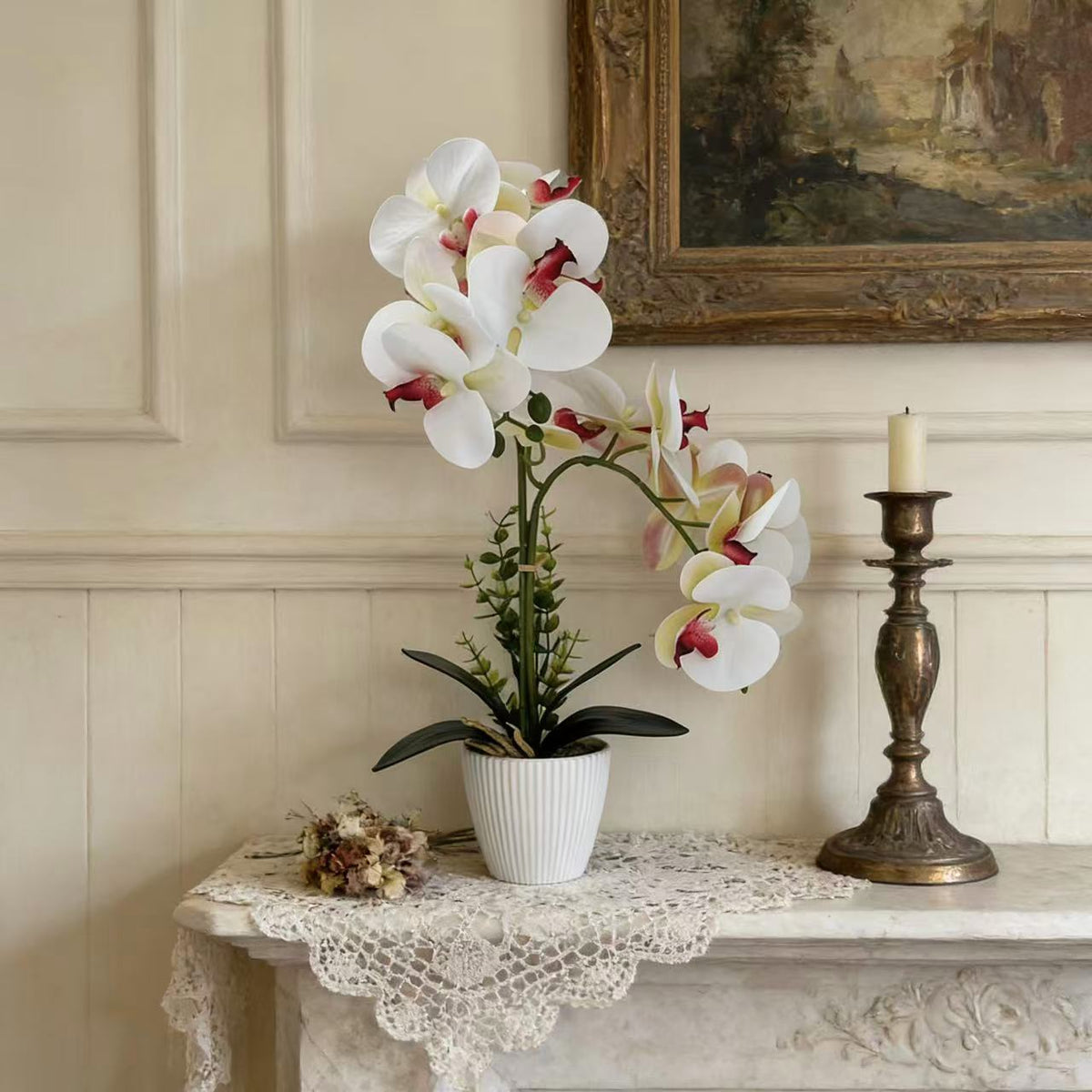 Elegante Orchideenpflanzenanordnung