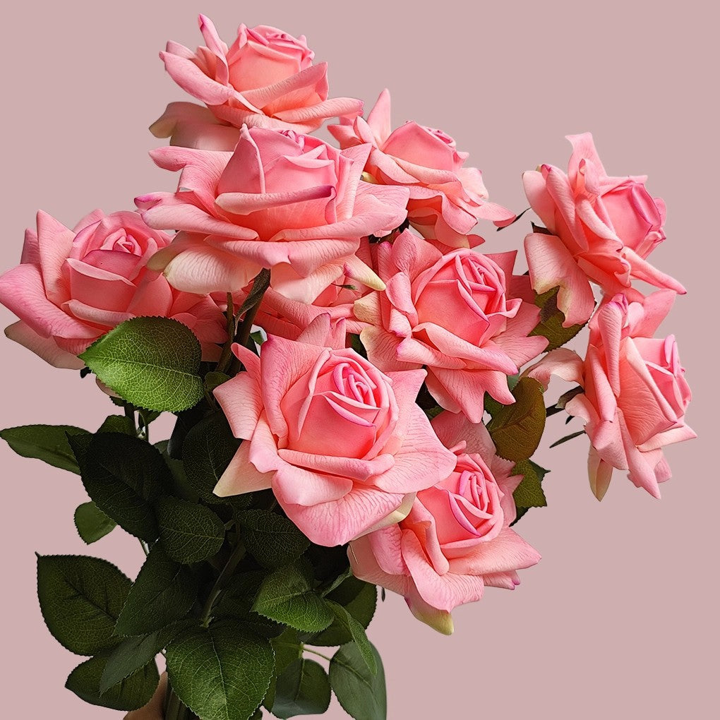 Lebensnahe Gartenrose Stiel