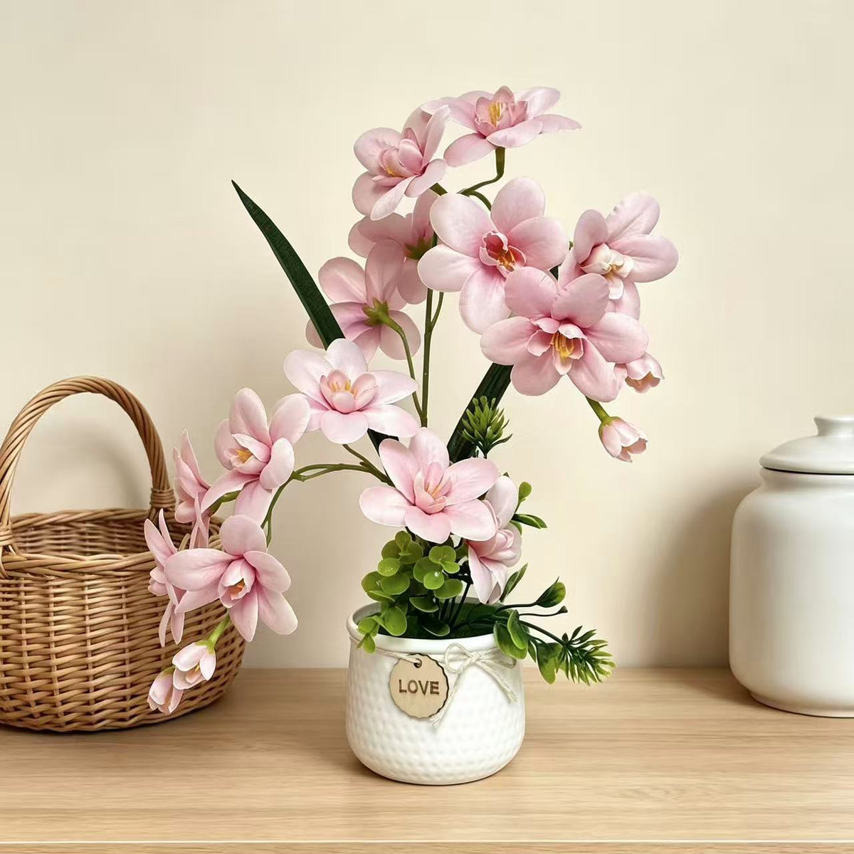 Dekorative Orchideenpflanze Anzeige