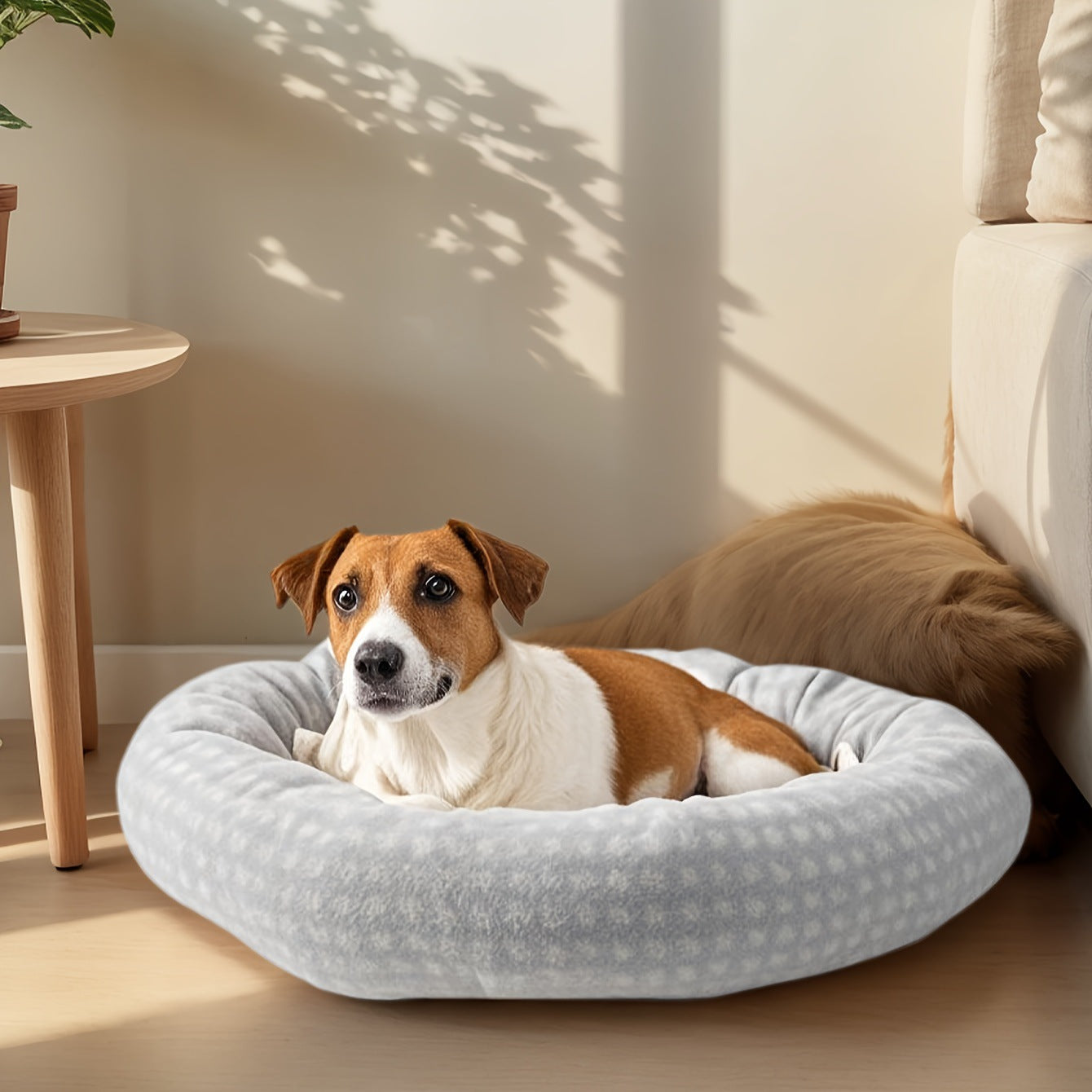 Gemütliches Rundes Hundebett