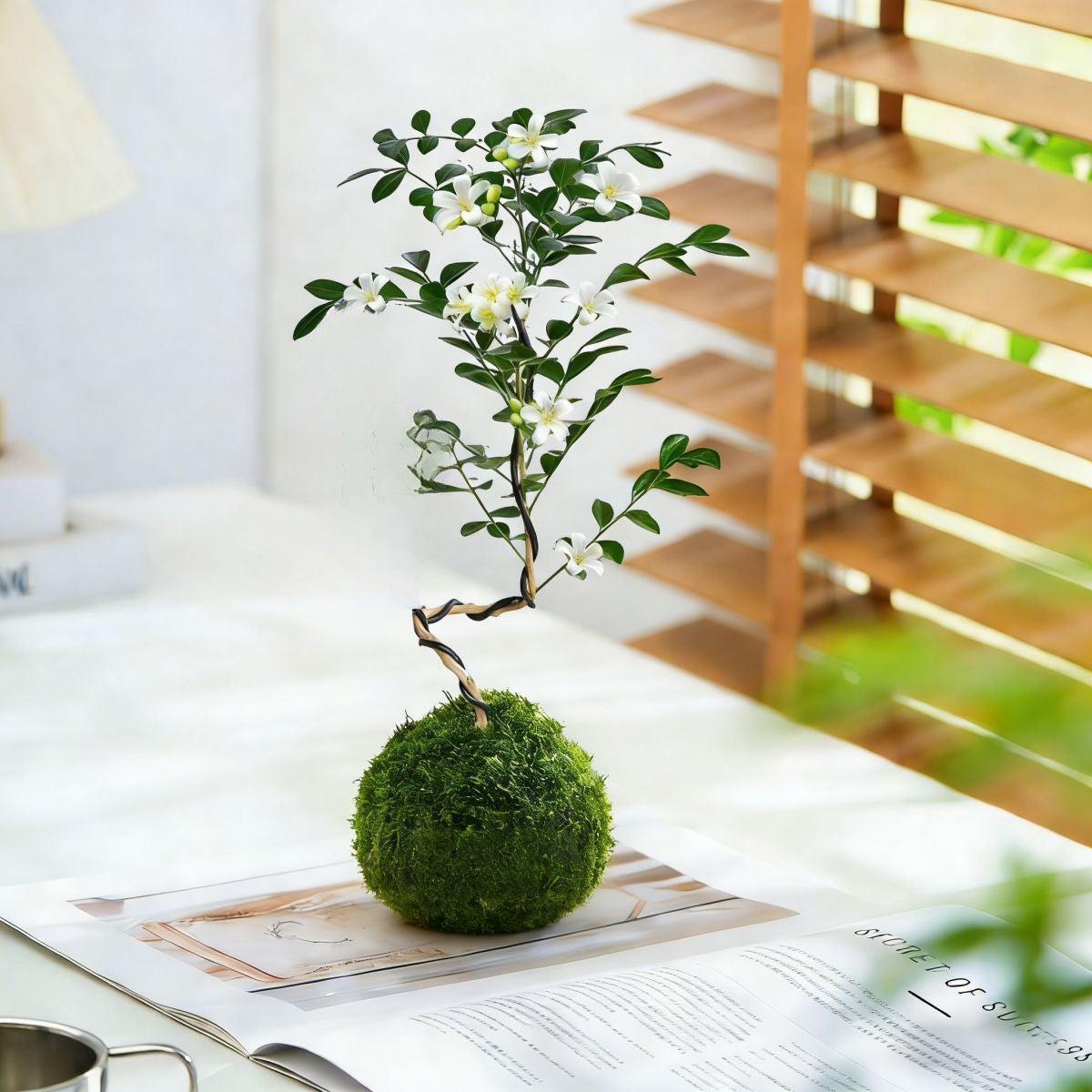 Dekorative Miniatur-Bonsai-Baum-Anordnung
