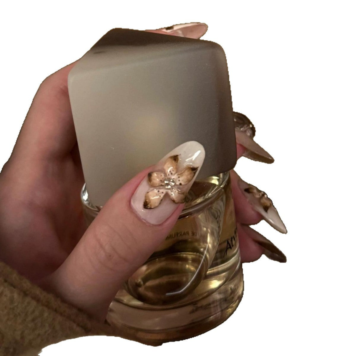Kunstnagelspitzen mit Elegantem 3D-Design Brehn
