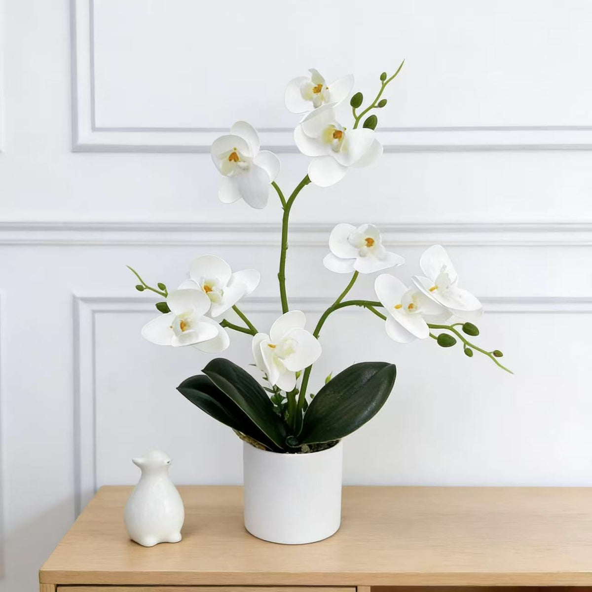Dekorative Orchidee für die Wohnkulturanzeige