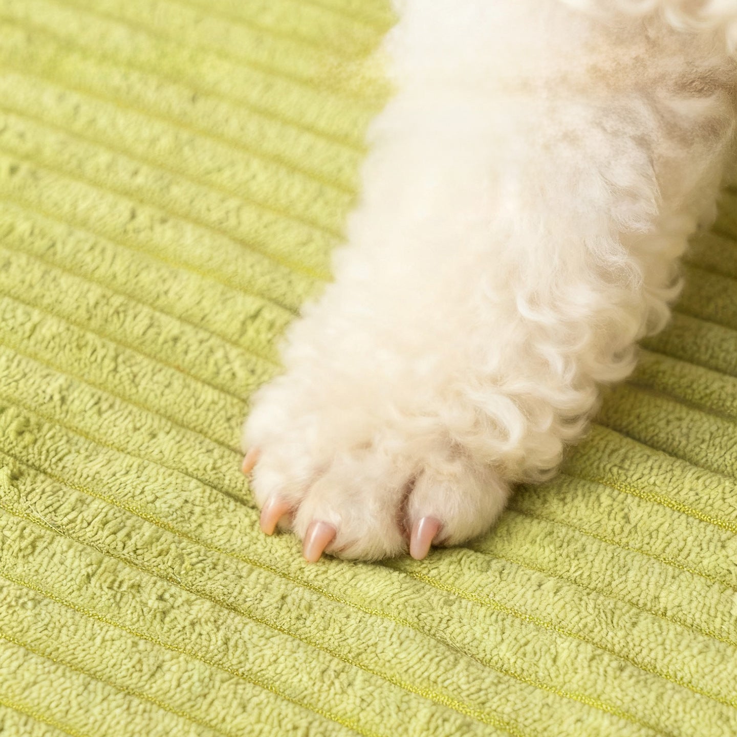 Gemütliches fleecegefüttertes Hundebett