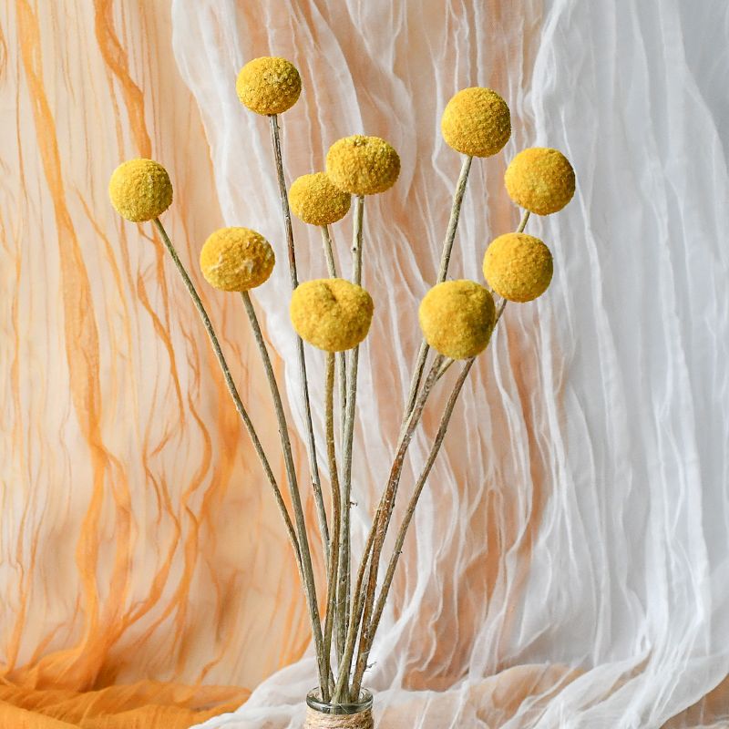 Getrockene Blumenanordnung