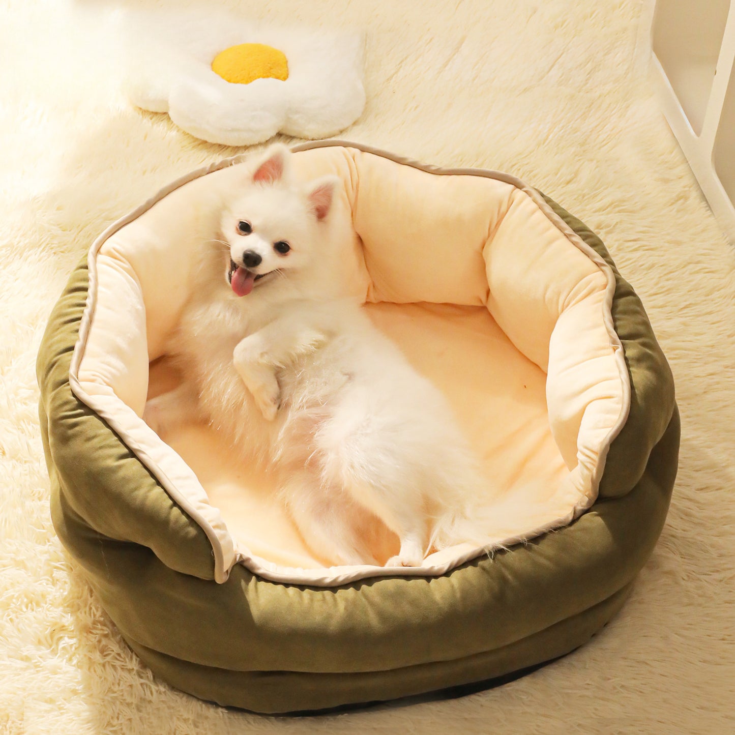 Luxuriös unterstützendes Hundebett