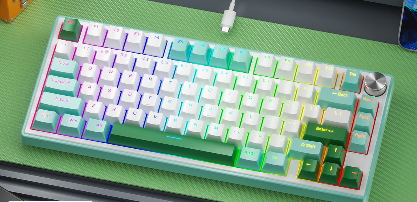 Dichtungs-montierte mechanische Gaming-Tastatur mit RGB-Beleuchtung Eigenschaften Brehn