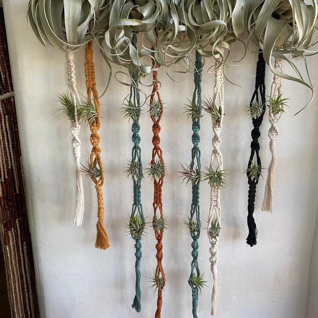 Elegante Macrame-Pflanzenwandbehänge Brehn