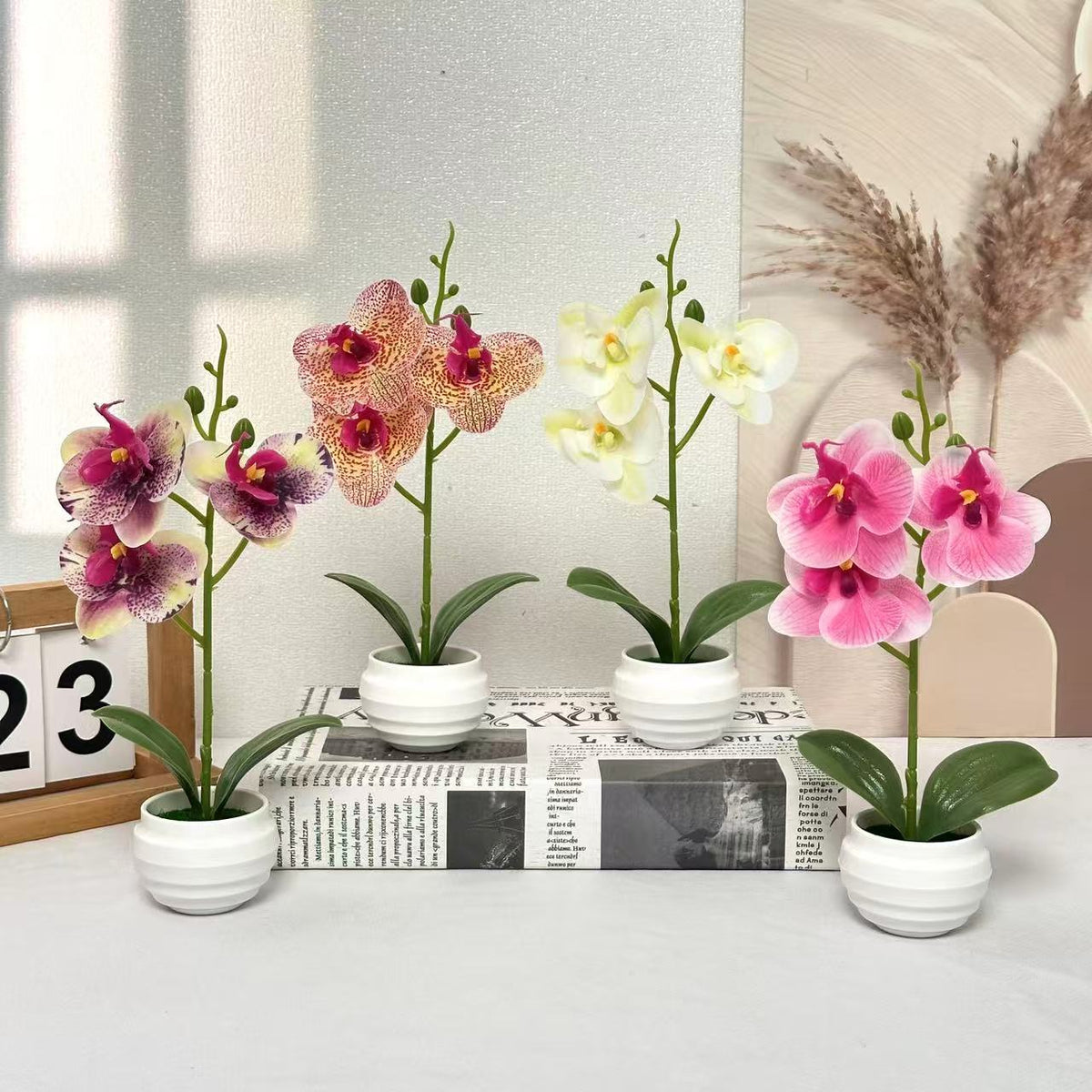 Elegante dekorative Orchideenpflanzenanordnung für die Wohnkultur