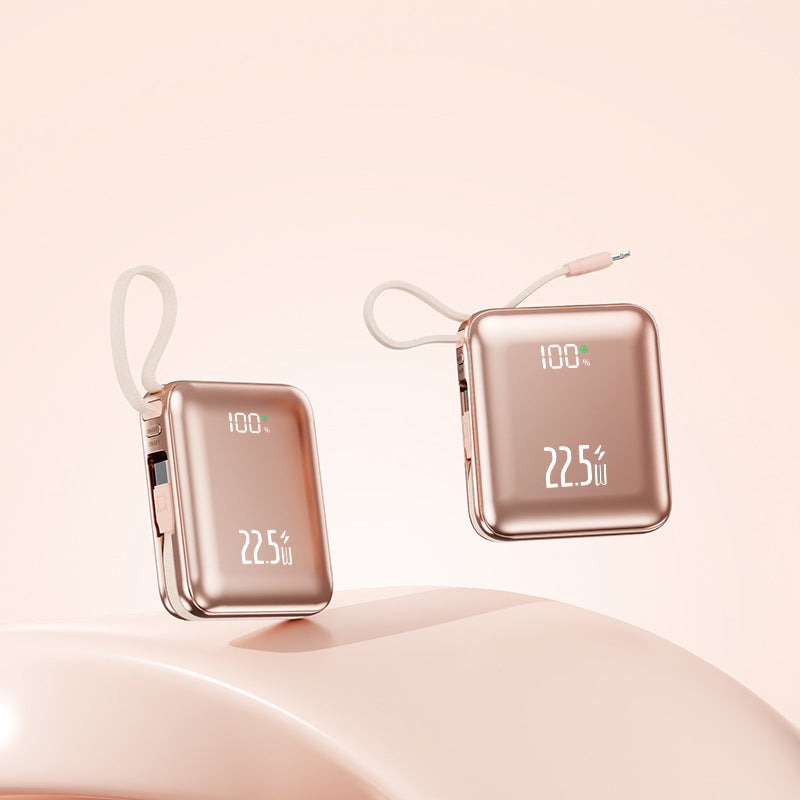 Powerbank Brehn