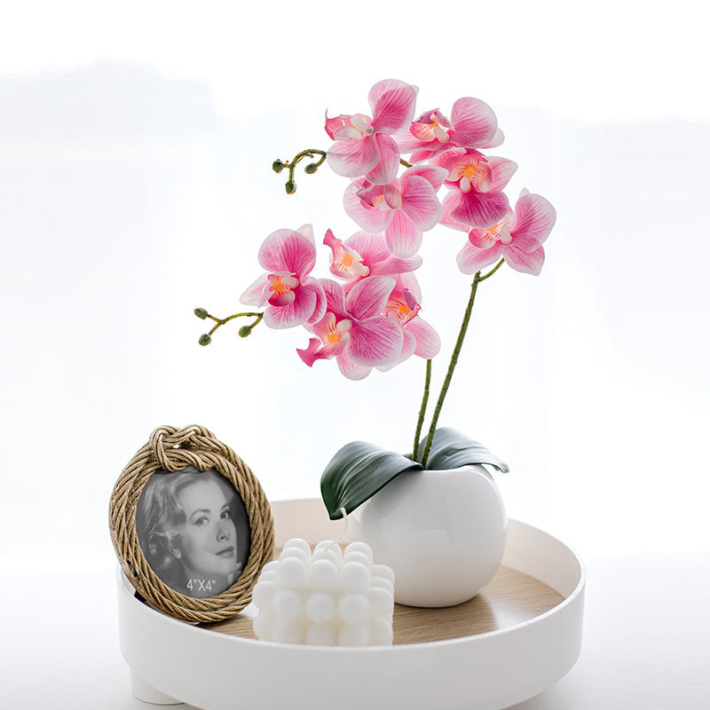 Dekorative Orchideenarrangement