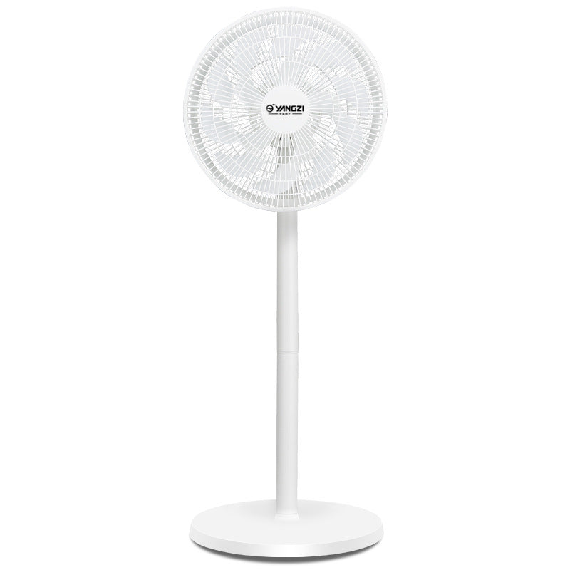 Damen Standventilator Brehn