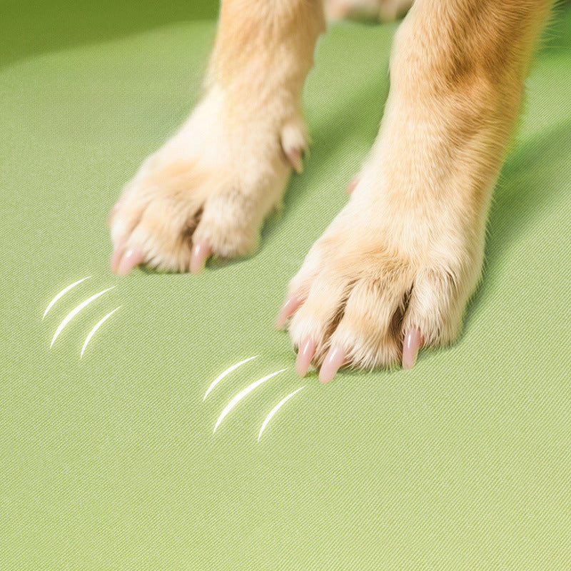 Orthopädisches Hundebettkissen