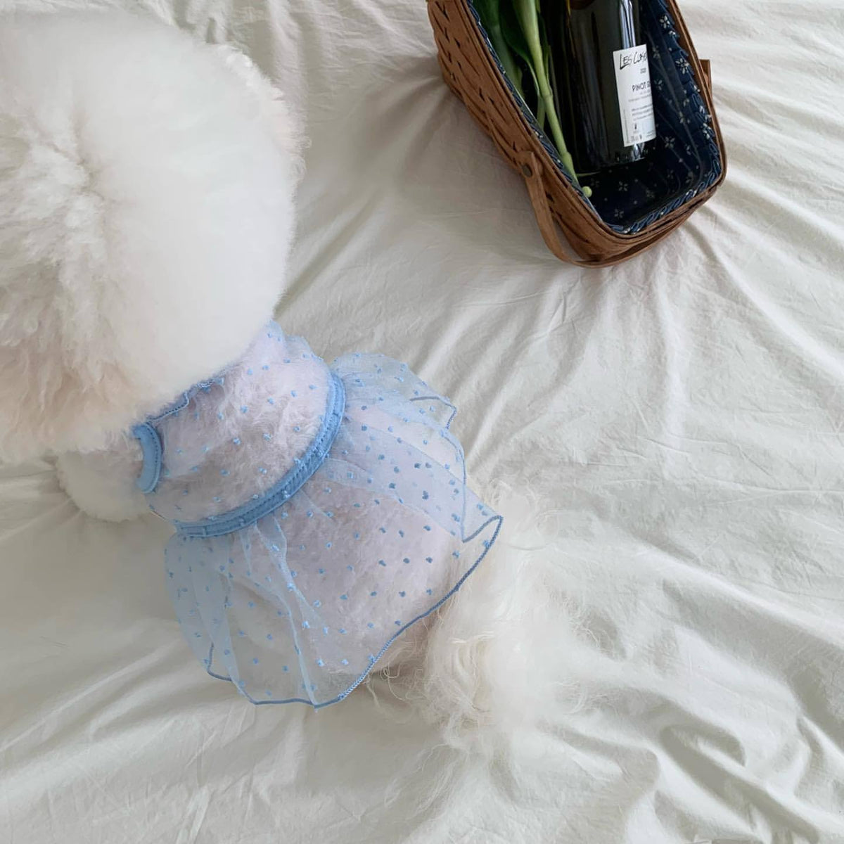 Durchsichtiges Organza-Punktemuster-Hundekleid mit Rüschensaum und Geschirröffnung