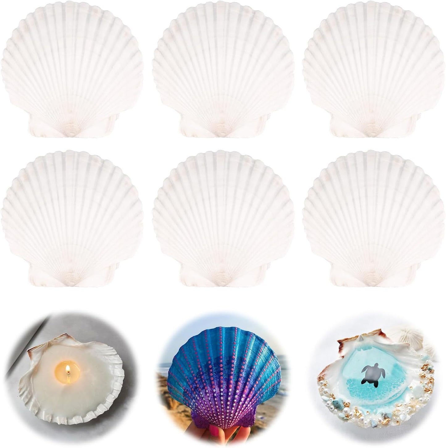 Unisex Kreatives Bastelset mit Muscheln und Farben Brehn