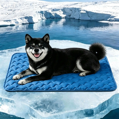 Unisex nan kühlende gesteppte Hundematte mit rutschfester Unterseite Brehn