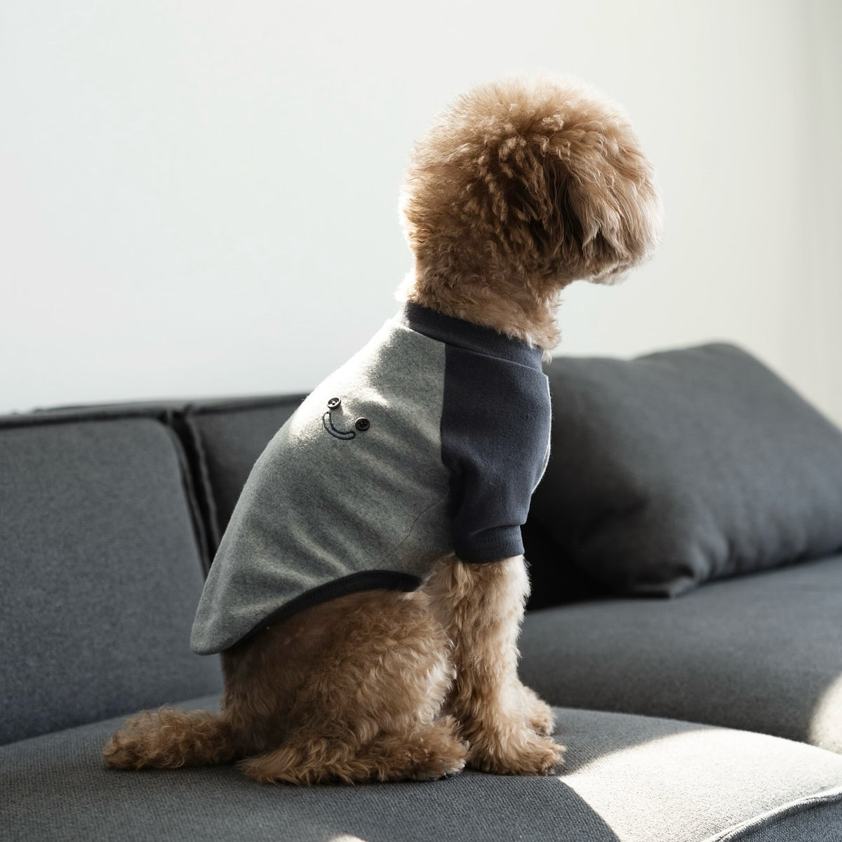 Gestreiftes Raglanärmel-Hund T-Shirt