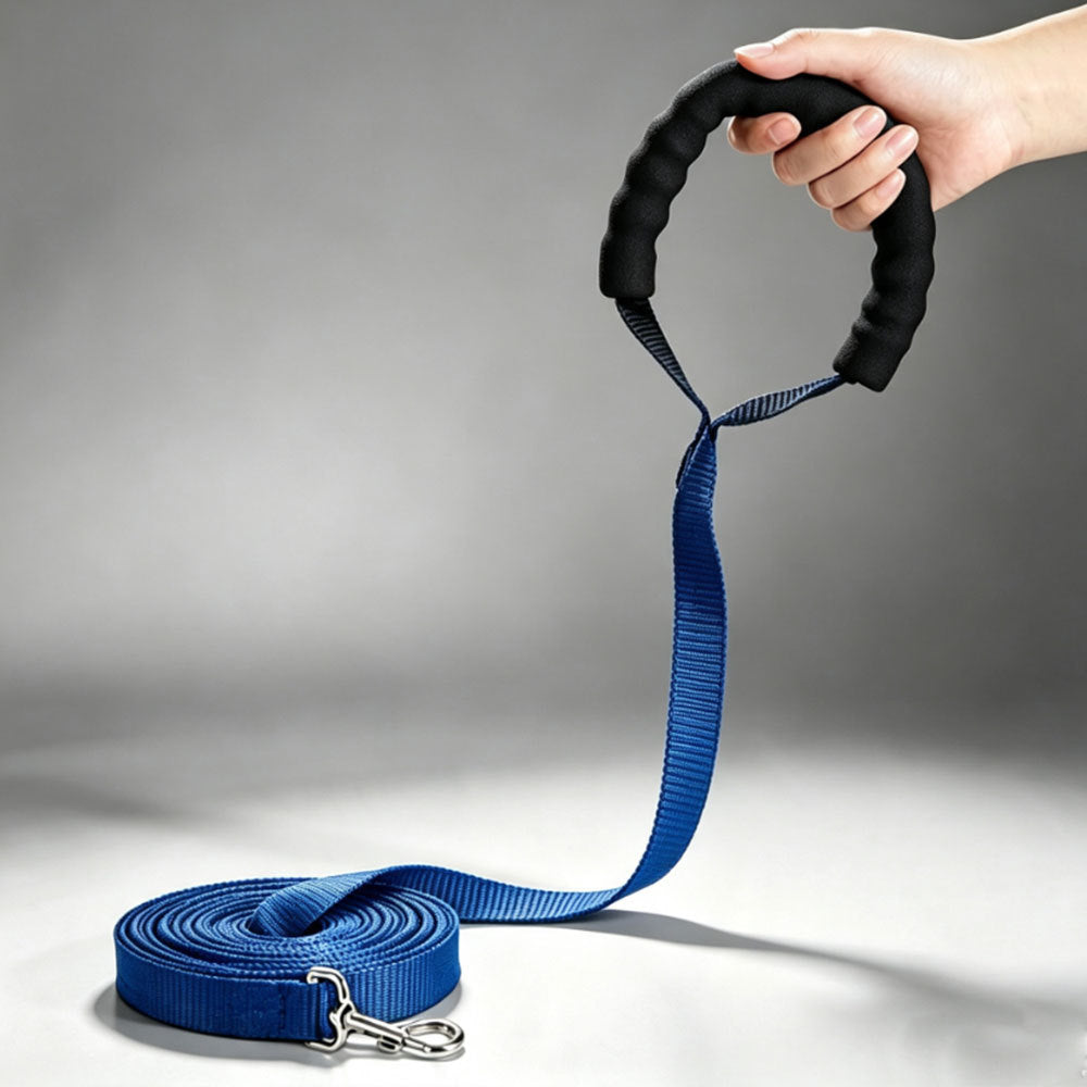 Hundetraining