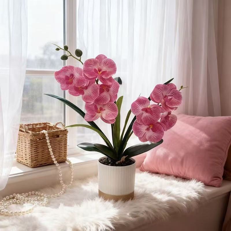 Orchideen-Blumen-Topfarrangement