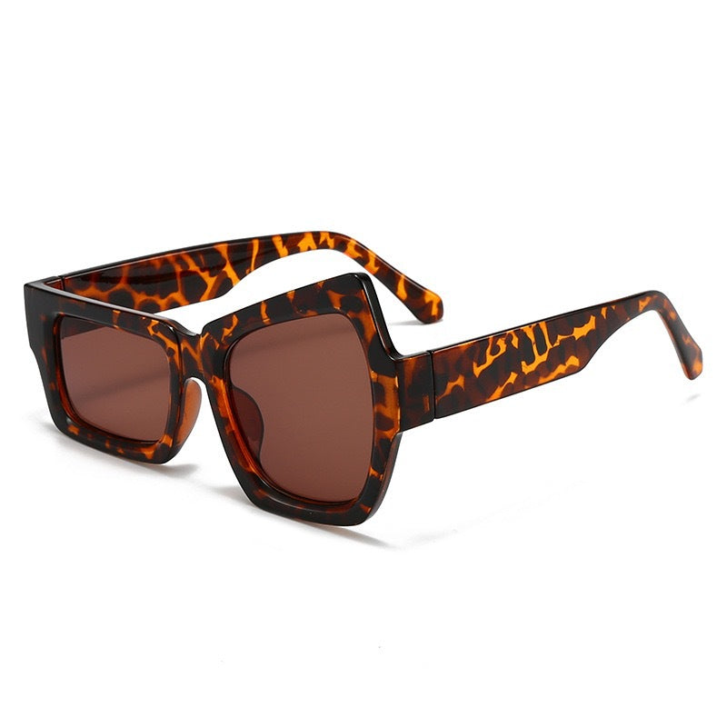 Zeitgenössische quadratische Sonnenbrille