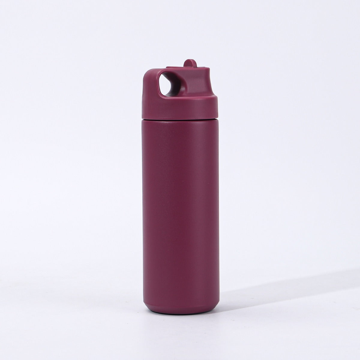 Damen hochwertige Isolier-Trinkflasche mit praktischem Tragegriff Brehn