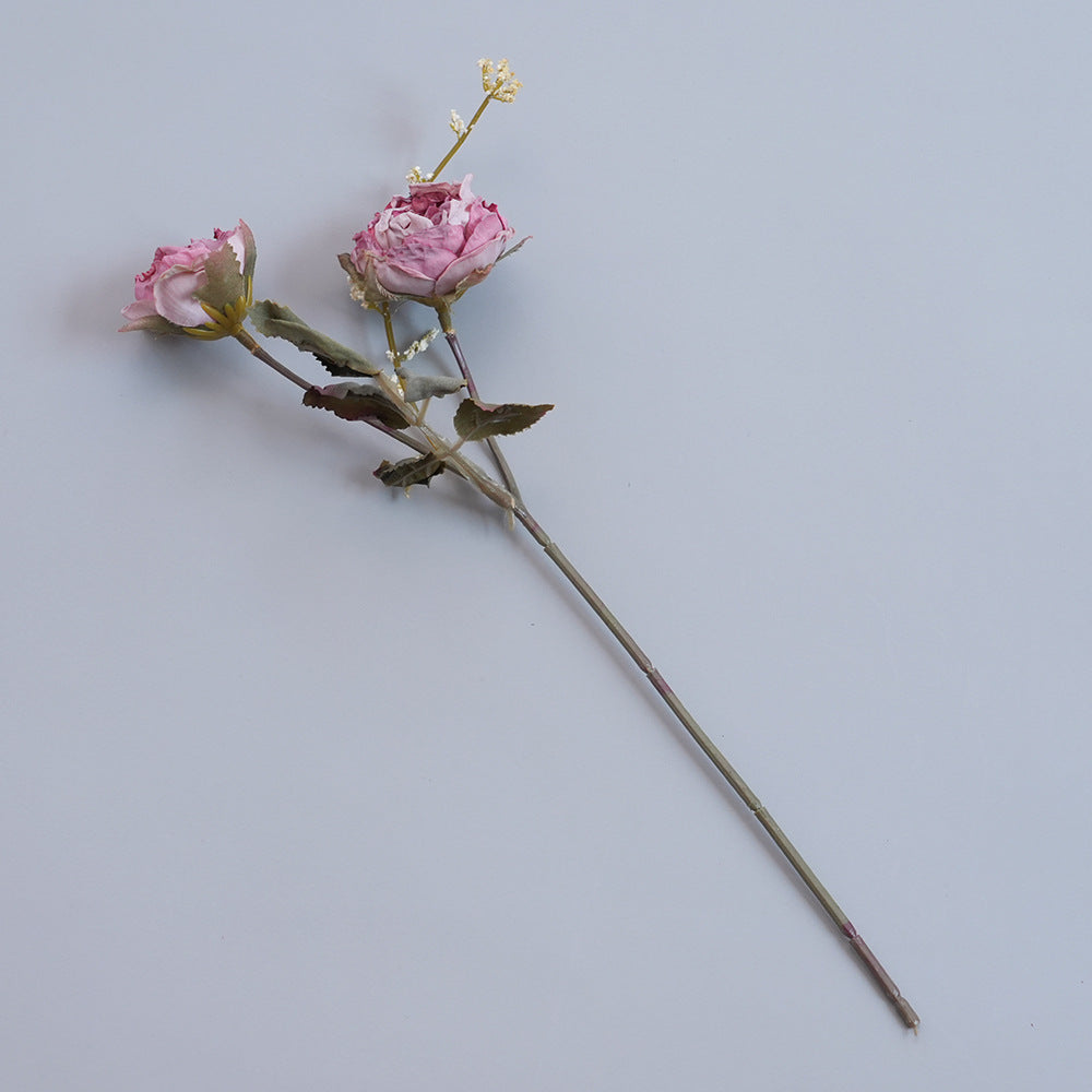 Elegante getrocknete botanische Stiele