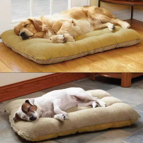 Orthopädisches Hundebett