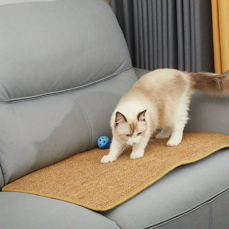 Hochwertiges Katzenkratzbrett für den täglichen Gebrauch