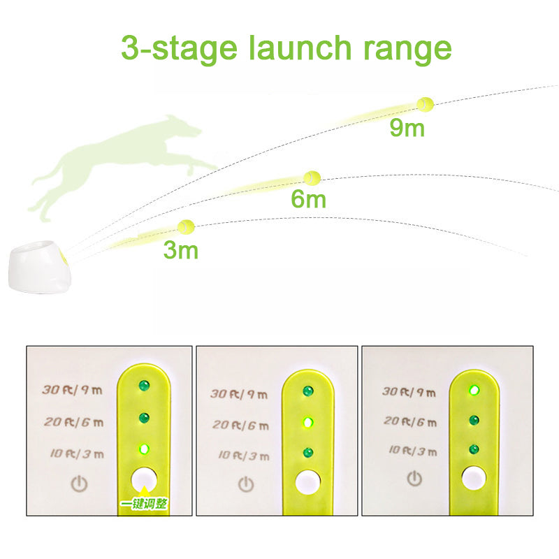 PetLaunch | Brehn
